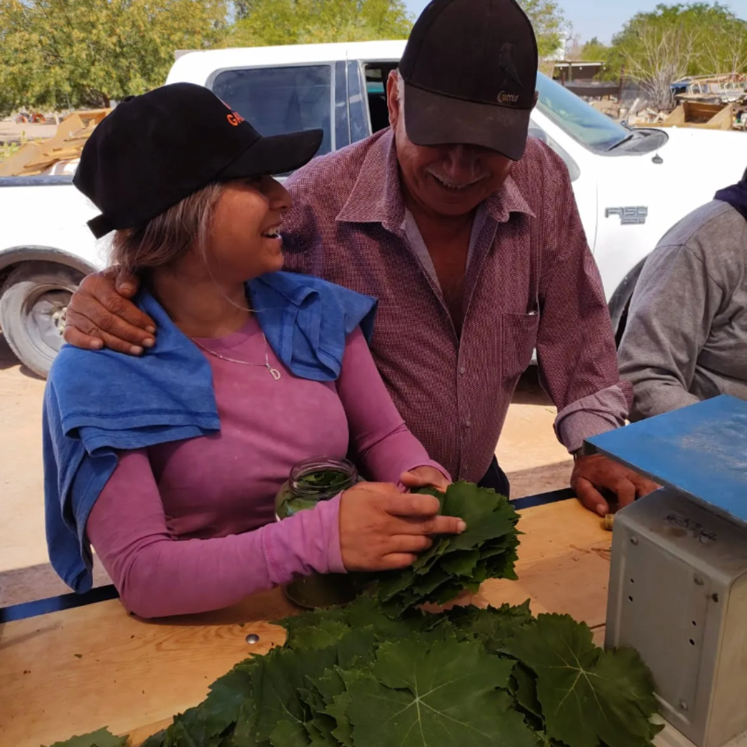 Hoja de Parra en Salmuera - Agraba