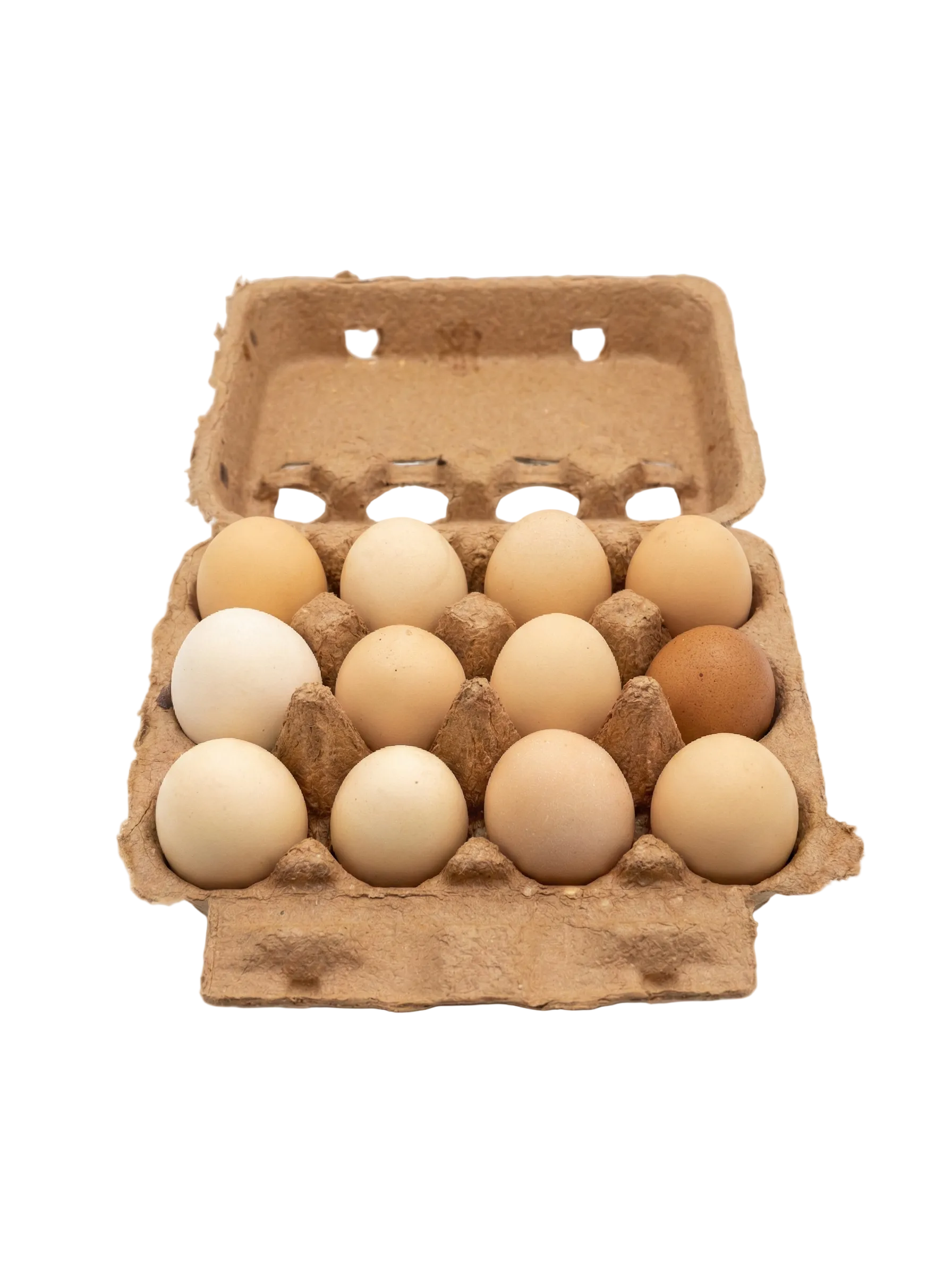 Huevos de Libre Pastoreo – Granja Local 12 pzas